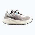 Buty do biegania męskie Salomon Aero Glide 4 GRVL vanilla ice/black/iron