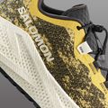 Buty do biegania męskie Salomon Aero Glide 4 GRVL beach ball/asphalt/vanilla ice 5