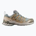Buty do biegania męskie Salomon XA Pro 3D V9 GTX sedona sage/brilliant olive 8