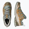 Buty do biegania męskie Salomon XA Pro 3D V9 GTX sedona sage/brilliant olive 10