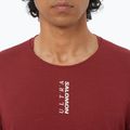 Koszulka do biegania męska  Salomon Ultra Tee syrah 3