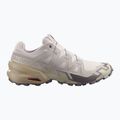 Buty do biegania męskie Salomon Speedcross 6 silver cloud/paloma 8