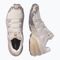 Buty do biegania męskie Salomon Speedcross 6 silver cloud/paloma 11