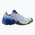 Buty do biegania męskie Salomon Speedcross 6 GTX Icon brunnera blue/surf the web 8