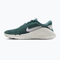 Buty treningowe męskie Nike Flex Train mineral slate/spruce aura/white 9