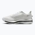 Buty do biegania męskie Nike Pegasus Premium photon dust/metallic Silver/black 9