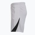Spodenki piłkarskie męskie Nike Paris Saint-Germain Strike SE atmosphere grey/black/black 8