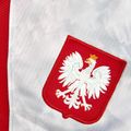 Spodenki reprezentacji Polski męskie domowe Nike Dri-Fit white/field silver 4