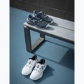 Buty do tenisa męskie HEAD Revolt Evo 5.0 blueberry/teal 12