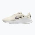 Buty treningowe męskie Nike Flex Train phantom/white/sail/pencil point 9