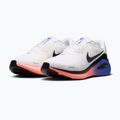 Buty do biegania męskie Nike Structure 26 white/atomic pink/racer blue/black 10