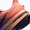Buty do biegania męskie Nike Pegasus Premium racer blue/atomic pink/volt tint/black 8