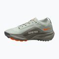 Buty do biegania damskie Nike ACG Pegasus Trail GORE-TEX Light Silver/Light Army/Light Silver 9