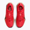 Buty do biegania męskie Nike ACG Zegama Trail light crimson/light orewood brown/black/black 11