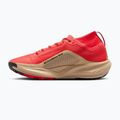 Buty do biegania męskie Nike ACG Pegasus Trail GORE-TEX Light Crimson/Linen/Black 9