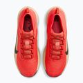 Buty do biegania męskie Nike ACG Pegasus Trail GORE-TEX Light Crimson/Linen/Black 12