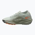 Buty do biegania męskie Nike ACG Pegasus Trail GORE-TEX Light Silver/Light Army/Light Silver 9