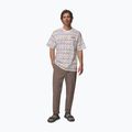 Koszulka męska Columbia CSC Heavyweight Printed Tee sea salt/horizons 2