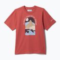 Koszulka dziecięca Columbia Valley Creek II Graphic washed red/cozy coastline