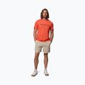 Koszulka męska Columbia CSC Basic Logo Tee zing/gem columbia 2