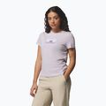 Koszulka damska Columbia Ruby Springs Graphic Fitted lavender pearl/brandrise