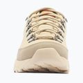 Buty trekkingowe męskie Columbia Newton Alpine Low fossil/sedona sage 10