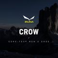 Buty wysokogórskie męskie Salewa Crow GTX wallnut/fluo orange 12