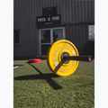 Uchwyt na gryf Sveltus 1694 T-Bar Landmine black 4