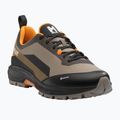 Buty trekkingowe męskie Millet Wanaka GTX maracuja 8