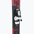 Narty zjazdowe dziecięce Rossignol Hero Pro Pre-Drilled Jr + wiązania Team 4 GW 4