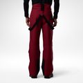 Spodnie narciarskie męskie Rossignol Insulated Ski tibetan red 3