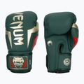 Rękawice bokserskie Venum Elite green