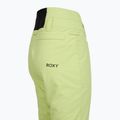 Spodnie snowboardowe damskie ROXY Diversion butterfly 9