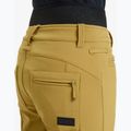 Spodnie snowboardowe damskie ROXY Rising High fennel seed 5
