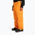 Spodnie snowboardowe męskie DC Banshee oriole 3