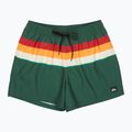 Szorty kąpielowe męskie Quiksilver Everyday Printed Volley 15" forest outside stripe 7