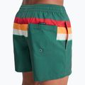 Szorty kąpielowe męskie Quiksilver Everyday Printed Volley 15" forest outside stripe 6