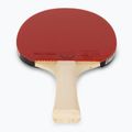 Zestaw do tenisa stołowego Butterfly Timo Boll Set 4