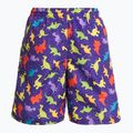 Szorty kąpielowe dziecięce Fashy 26837 Small Boys