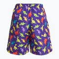 Szorty kąpielowe dziecięce Fashy 26837 Small Boys 2
