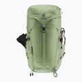 Plecak turystyczny deuter Trail 30 l grove-ivy 6