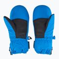 Rękawice narciarskie dziecięce ZIENER LE Zoo Minis persian blue 3