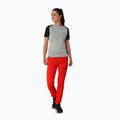 Spodnie trekkingowe damskie Salewa Pedroc 2 Dst Light flame 3