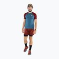 Buty do biegania męskie DYNAFIT Ultra 100 syrah/mallard blue 10