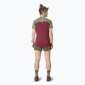 Koszulka do biegania damska DYNAFIT Alpine Pro burgundy 3