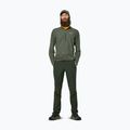 Longsleeve męski Salewa Pedroc Dry Wind Half Zip Tee faded green 2