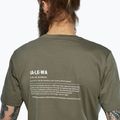 Koszulka męska Salewa Eagle Vocab faded green 4