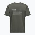 Koszulka męska Salewa Eagle Vocab faded green 6