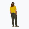 Spodnie trekkingowe męskie Salewa Pedroc 5 DST dark olive 3