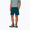 Spodenki trekkingowe męskie Salewa Pedroc DST Light pond blue
